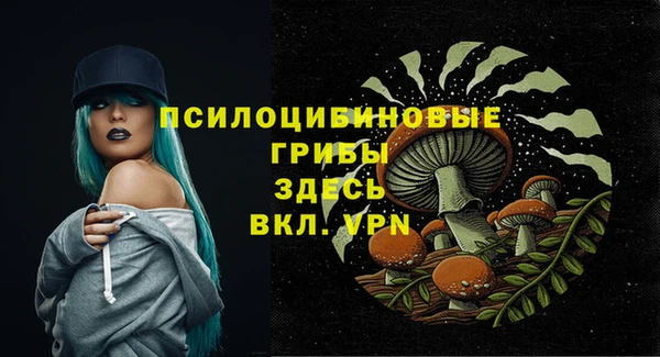 гашик Верхний Тагил