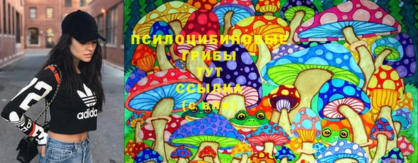 гашик Верхний Тагил